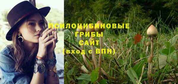 эйфоретик Алексин