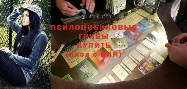 тгк Ельня