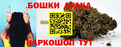 гидра Краснокаменск