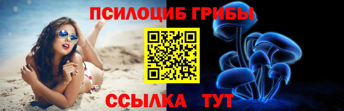 Карачаевск  Галлюциногенные грибы мицелий  Вход с VPN 